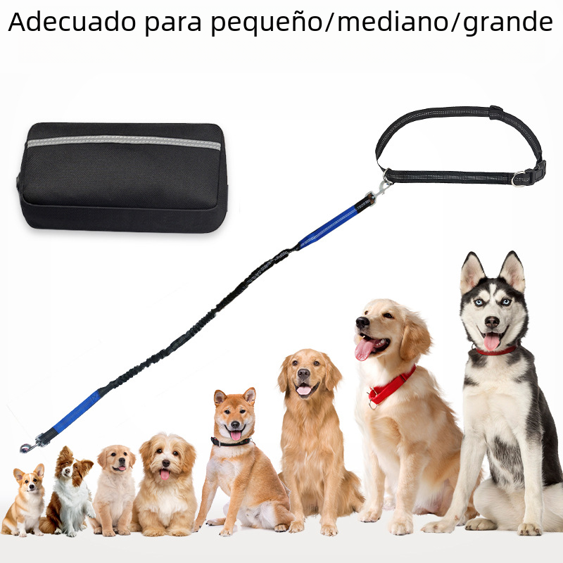 Hands-Free Bungee Leash & Waist Pouch