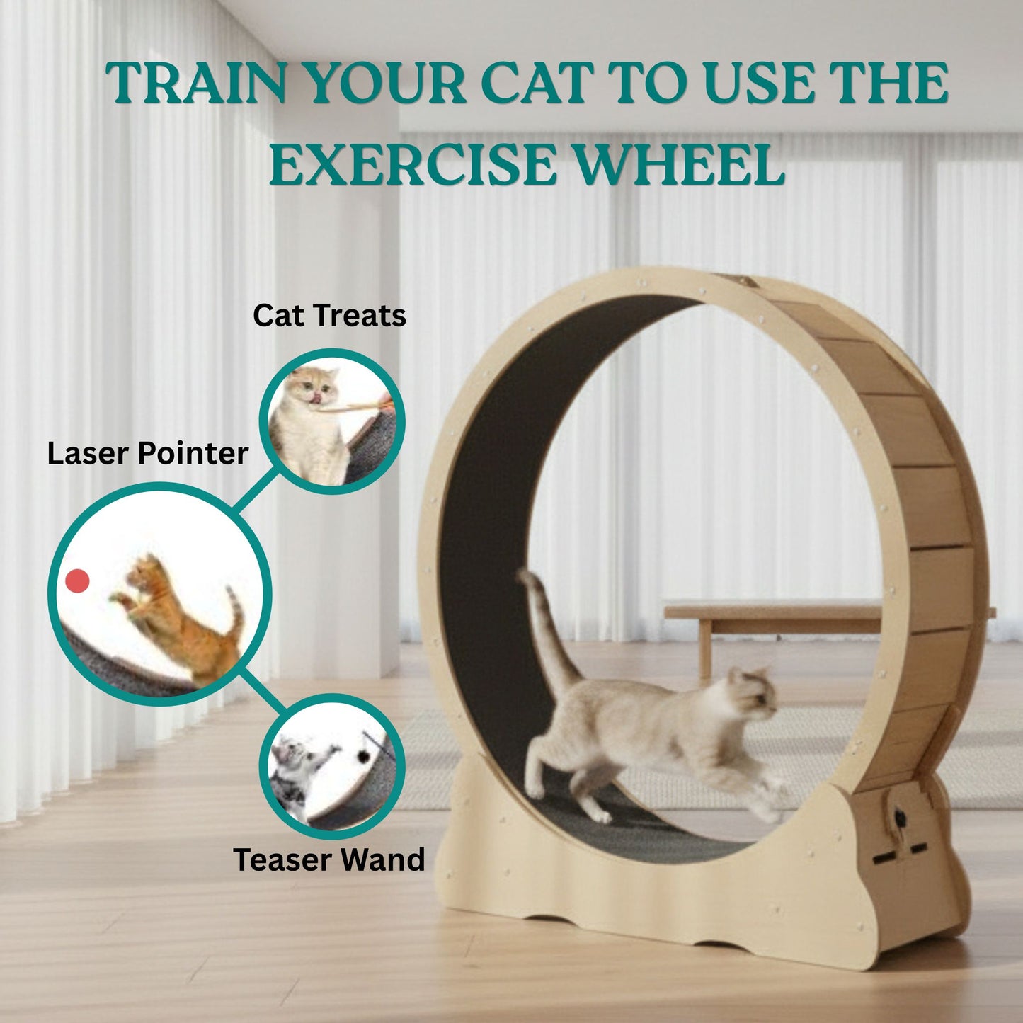 Large Silent Cat Exercise Wheel - 48"