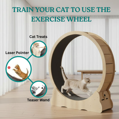 Large Silent Cat Exercise Wheel - 48"