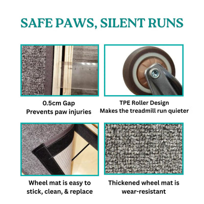 Large Silent Cat Exercise Wheel - 48"