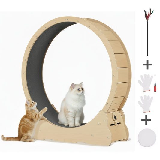 Large Silent Cat Exercise Wheel - 48"