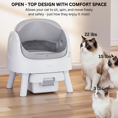 Pet litter box with cats around it on a wooden floor