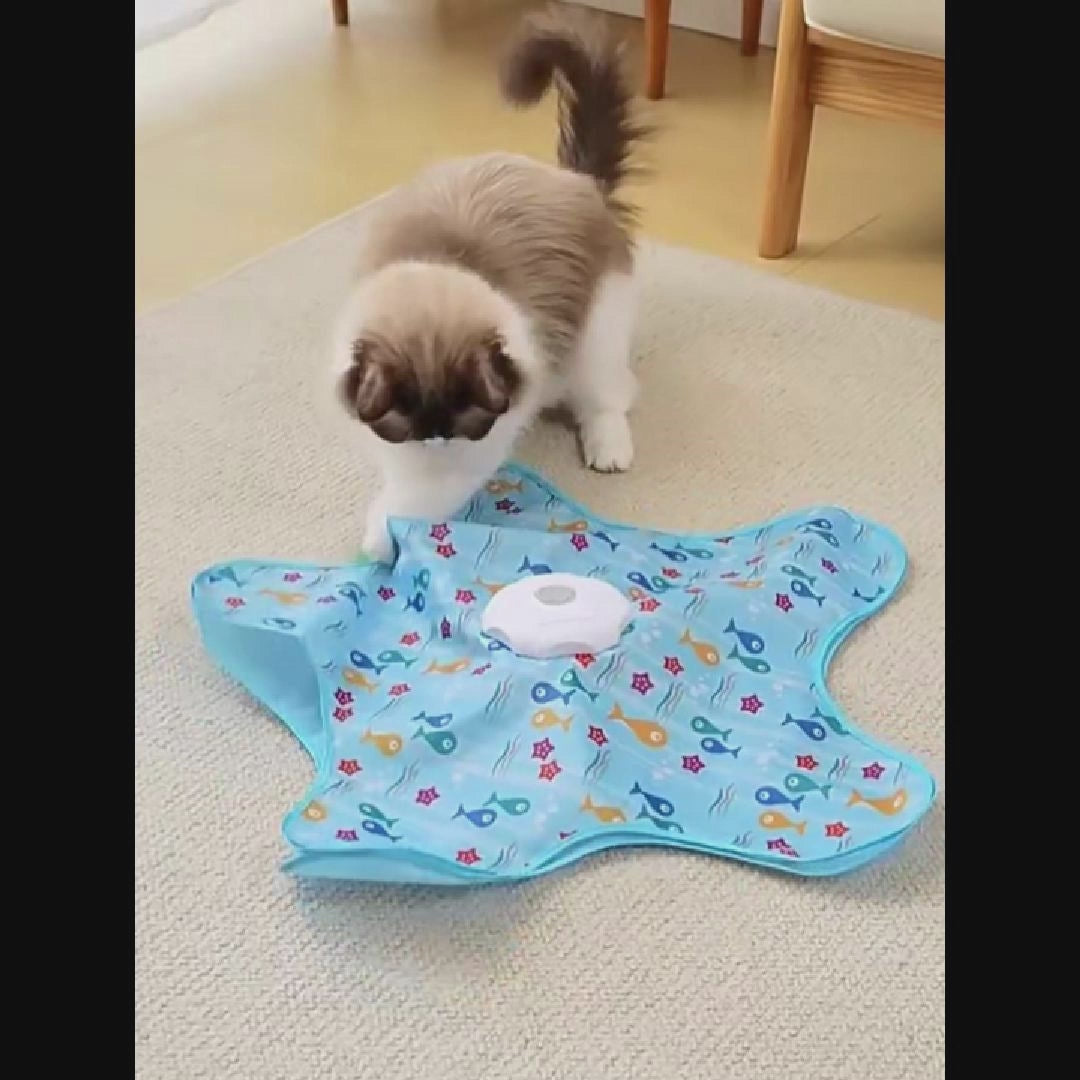 Interactive toy for cats